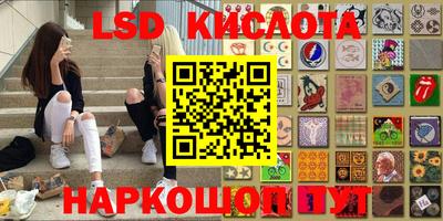 шишки Краснодар