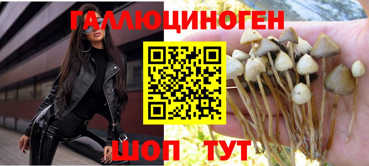 Псилоцибиновые грибы MAGIC MUSHROOMS Коряжма
