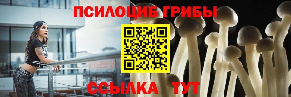 Псилоцибиновые грибы мицелий  Галлюциногенные грибы Psilocybe  Вход с VPN  Коряжма 